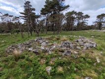 Raddick Lane Settlement