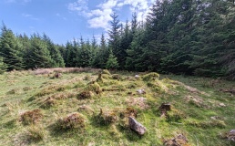 Raddick Lane Cairn