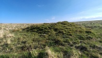 Raddick Hill Cist