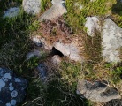 Raddick Hill Cist