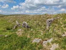 Black Tor (Meavy)