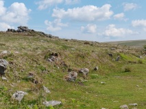 Black Tor (Meavy)