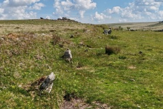 Black Tor (Meavy)