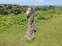 Shaden Cross