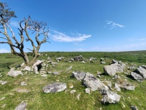 Wigford Down Settlement