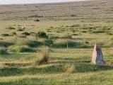 Click for full size image of Ringmoor Down Stone Row (PID:292525) Ringmoor Down Stone Row