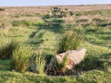 Click for full size image of Ringmoor Down Stone Row (PID:292527) Ringmoor Down Stone Row