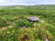 Legis Tor Cairns