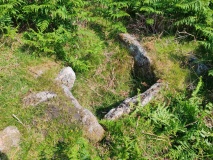 Trowlesworthy Warren