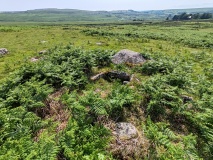 Trowlesworthy Warren