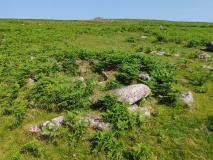 Trowlesworthy Warren