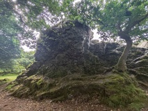 Roborough Rocks