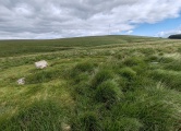 Click for full size image of Hart Tor North ring cairn (PID:292337) Hart Tor North ring cairn