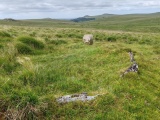 Click for full size image of Hart Tor North ring cairn (PID:292334) Hart Tor North ring cairn