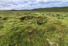 Hart Tor North prehistoric settlement