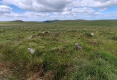 Hart Tor North prehistoric settlement