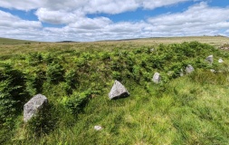 Black Tor (Meavy)