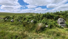 Black Tor (Meavy)