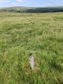 Click for full size image of Sharpitor NE (PID:292751) Sharpitor NE