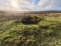 Harrowthorn Settlement