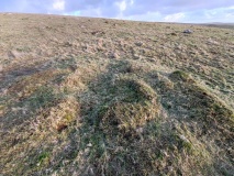 Stalldown West