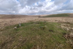 Stalldown North