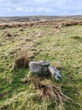 Ranny Brook North Cist