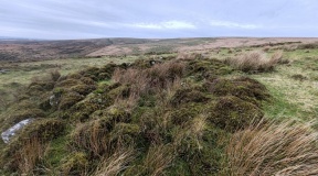 Yealm Steps