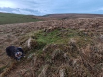 Lower Erme Cairns