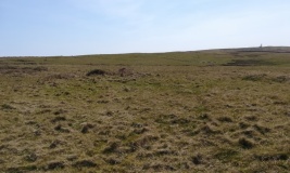 Tibbett's Hill Cairn Circles