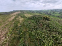 Hillsborough