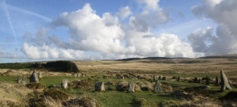 Scorhill - PID:181623