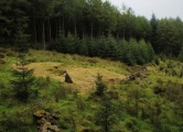 Lowton Brook West Settlement
