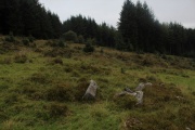 Lowton Brook West Settlement