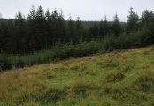Lowton Brook West Settlement