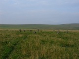 Ringmoor Down stone circle - PID:40992