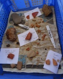 Ipplepen Iron Age Settlement