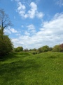 Lydford Anglo Saxon Defences