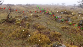 Stanlake Settlement