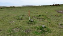 Sharpitor NW double row