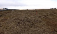 Click for full size image of Sharpitor NW double row (PID:177173) Sharpitor NW double row