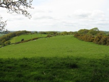 Meacombe Cist Landscape