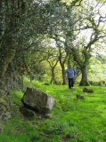 Meacombe Cist Landscape