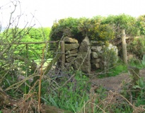 Meacombe Cist Landscape