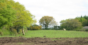 Meacombe Cist Landscape