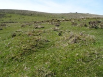 Black Tor Stone Row Cairns (Stanlake)