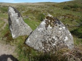 Hart Tor north rows