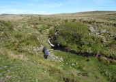 Click for full size image of Hart Tor north rows (PID:197806) Hart Tor north rows