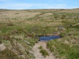 Click for full size image of Hart Tor north rows (PID:197808) Hart Tor north rows