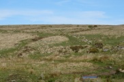 Hart Tor north rows